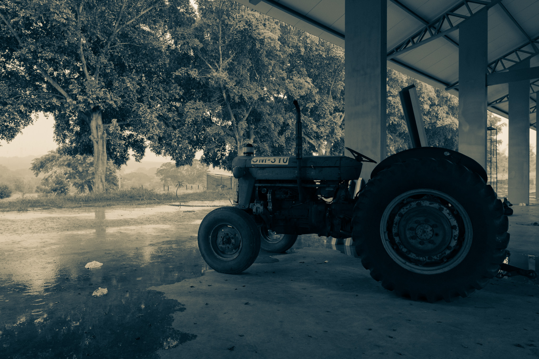 Voe Farm, momento 22