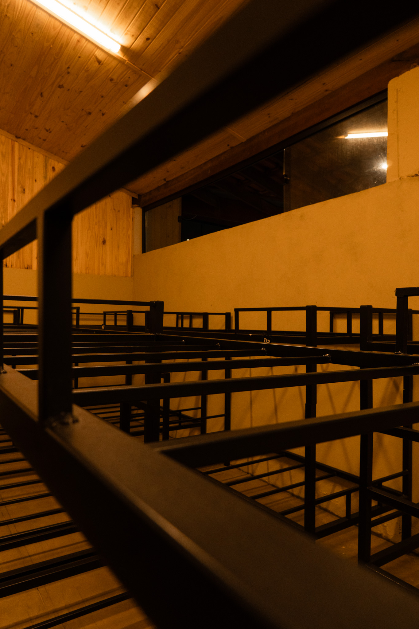 Voe Farm, momento 42
