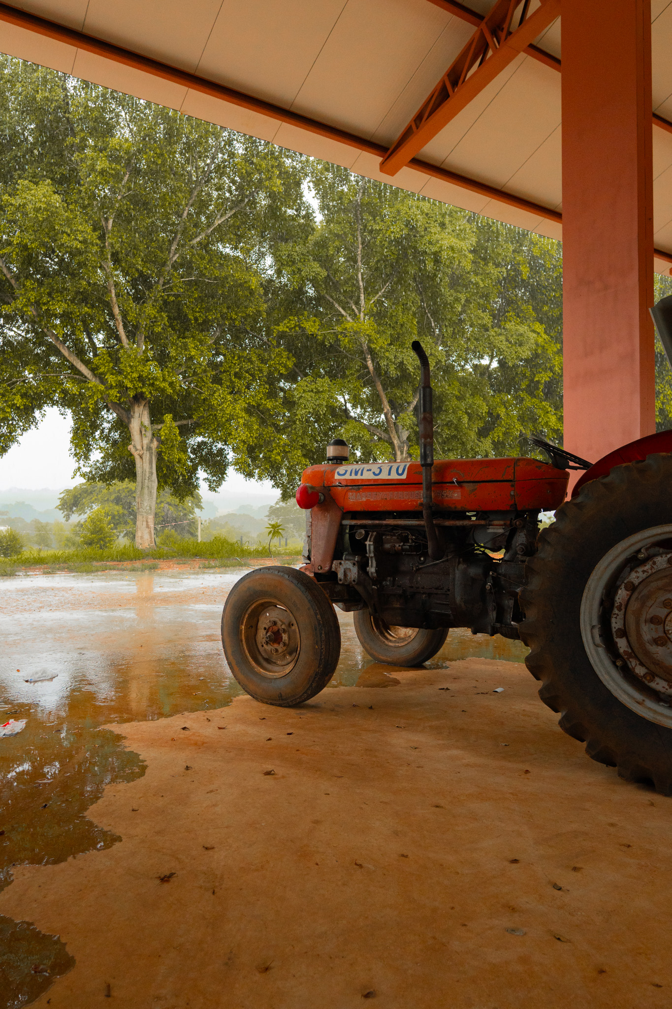 Voe Farm, momento 23